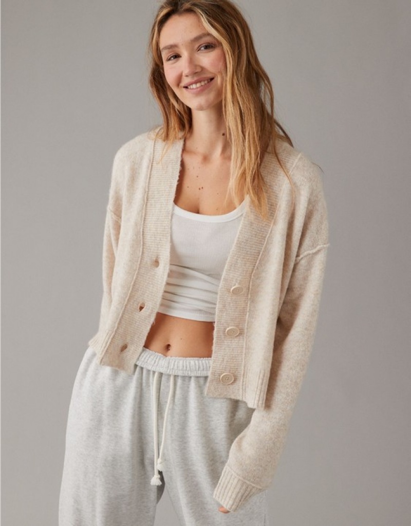 Cardigan Aerie Whoa So Soft Cropped Button-Front Marron | AFE-71608384