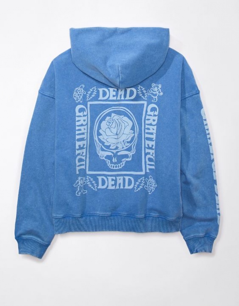 Sweat a Capuche Aerie Grateful Dead Graphique Fleece Bleu | ZNW-96334575